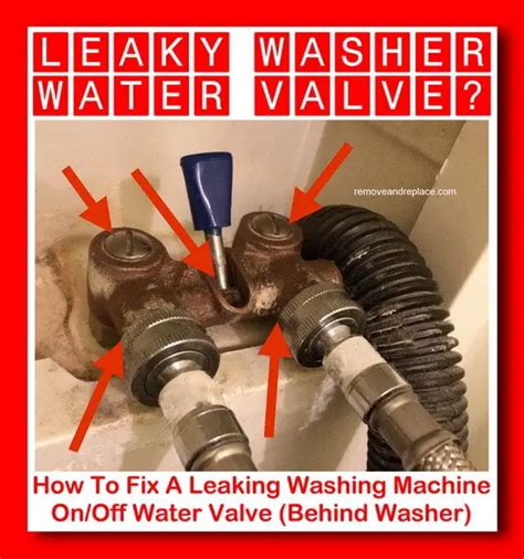 washer hoses leaking|Washing Machine Is Leaking